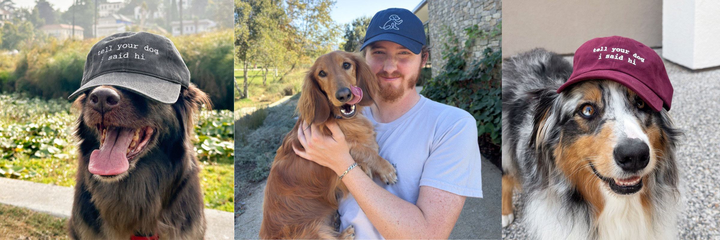 Hats – Page 2 – WeRateDogs display picture 3