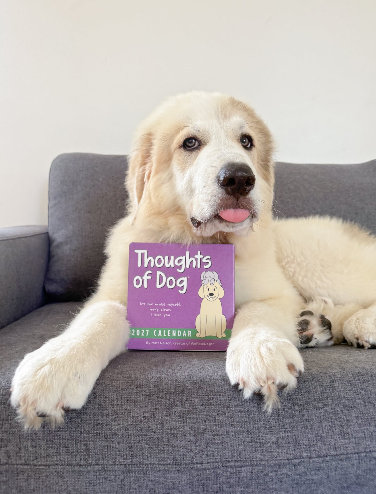 2027 Thoughts of Dog Day-to-Day Calendar