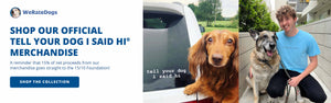 Shop our official Tell Your Dog I Said Hi Merchandise