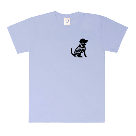 Sit Stamp Tee - Snowy Blue