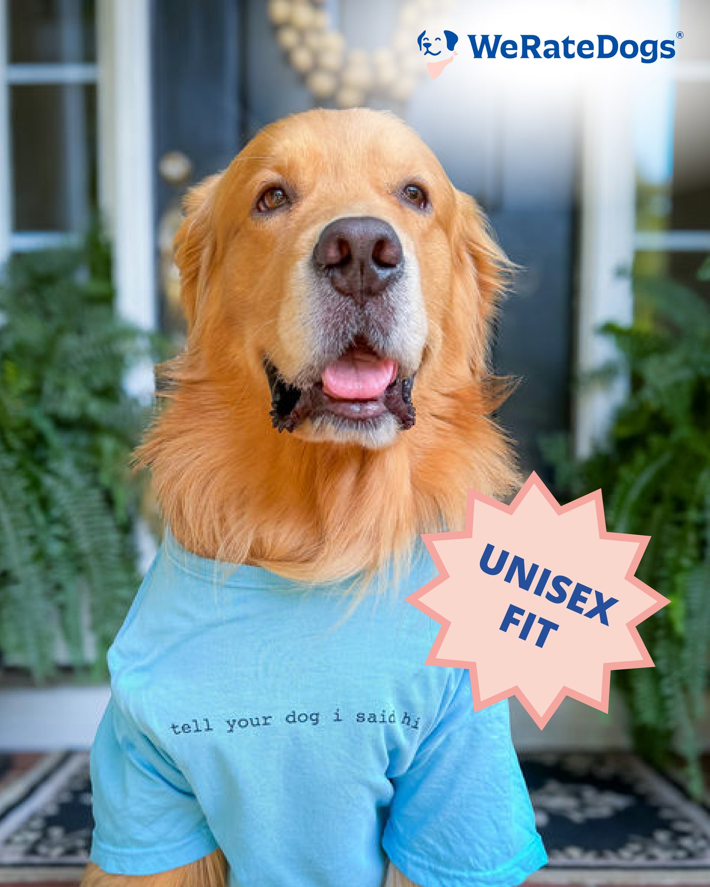 Classic Tee - Light Blue