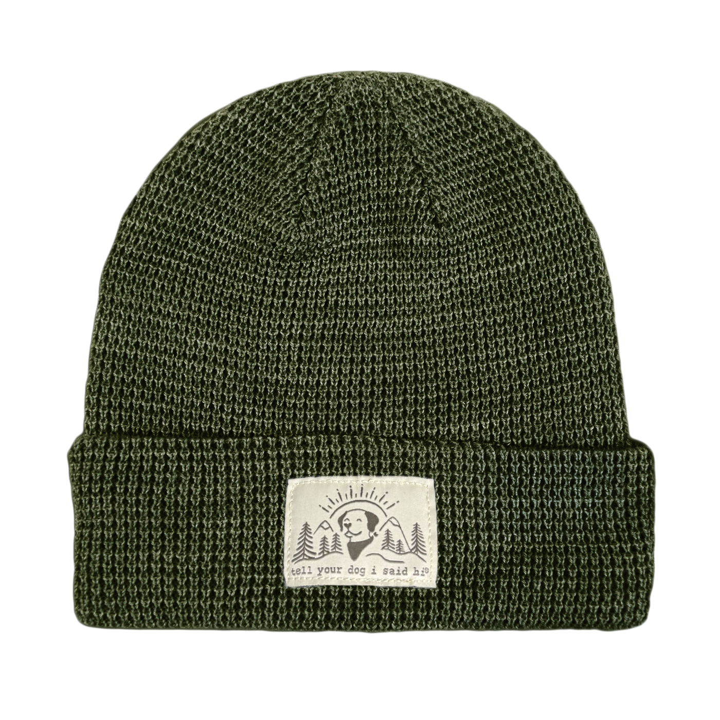 Summit Pup Waffle Beanie - Forest