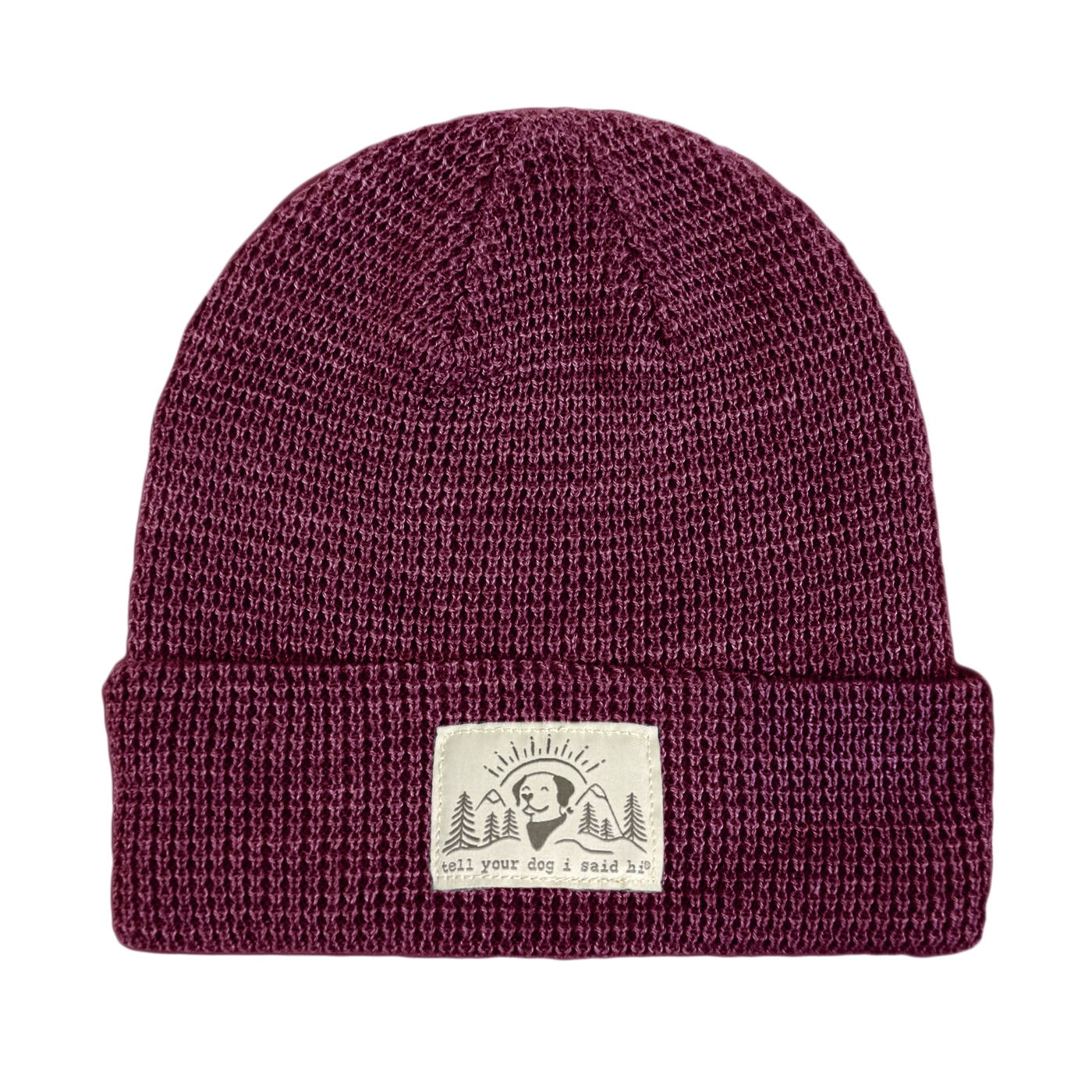 Summit Pup Waffle Beanie - Plum