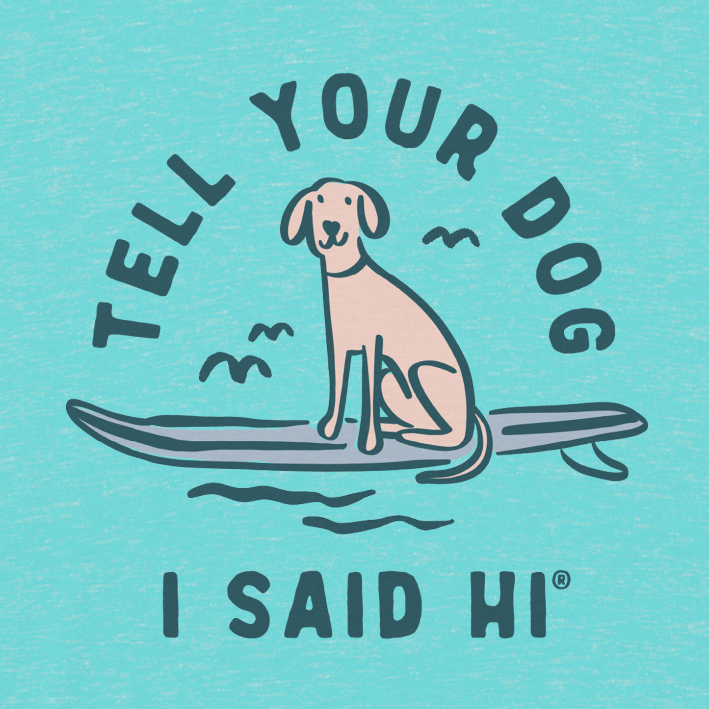 Board Dog Burnout V-Neck - Heather Tahiti
