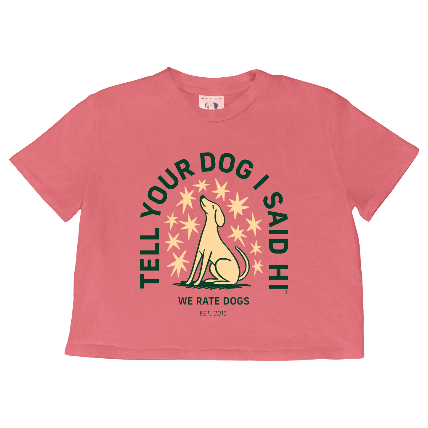 Starry Night Crop Top Tee - Pigment Pink