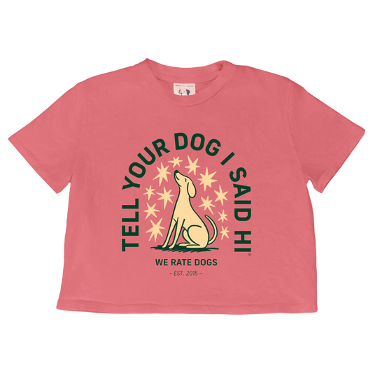 Starry Night Crop Top Tee - Pigment Pink