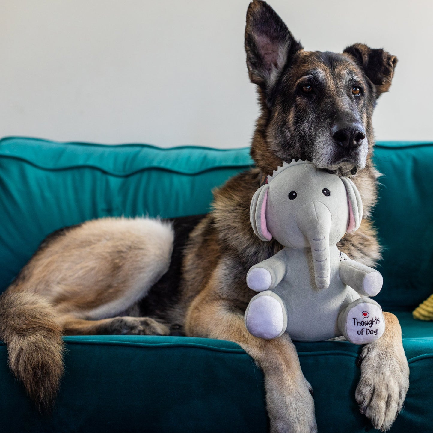 Stuffed Fren Sebastian