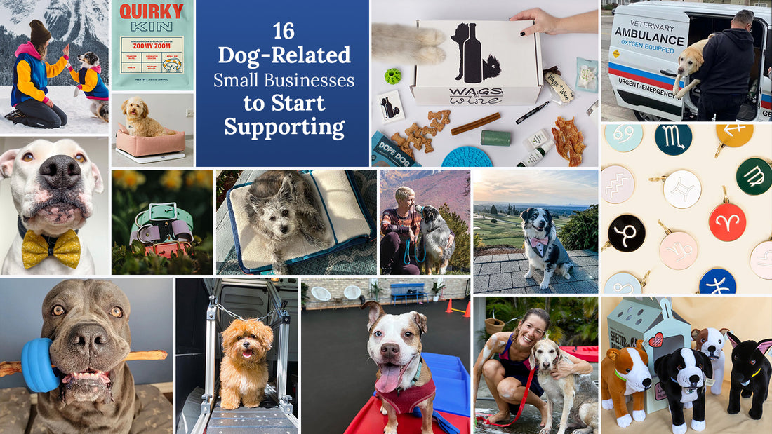 16 Small Dog Businesses to Support This Month