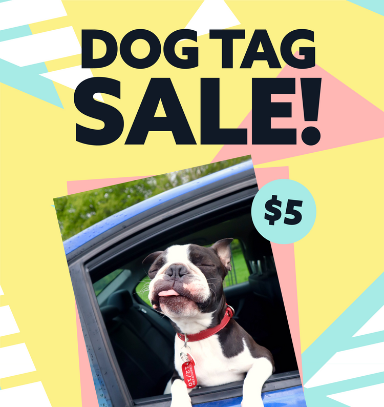 Dog Tag Sale