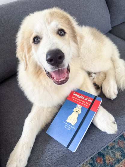 Thoughts of Dog 12-Month 2027 Weekly/Monthly Planner Calendar