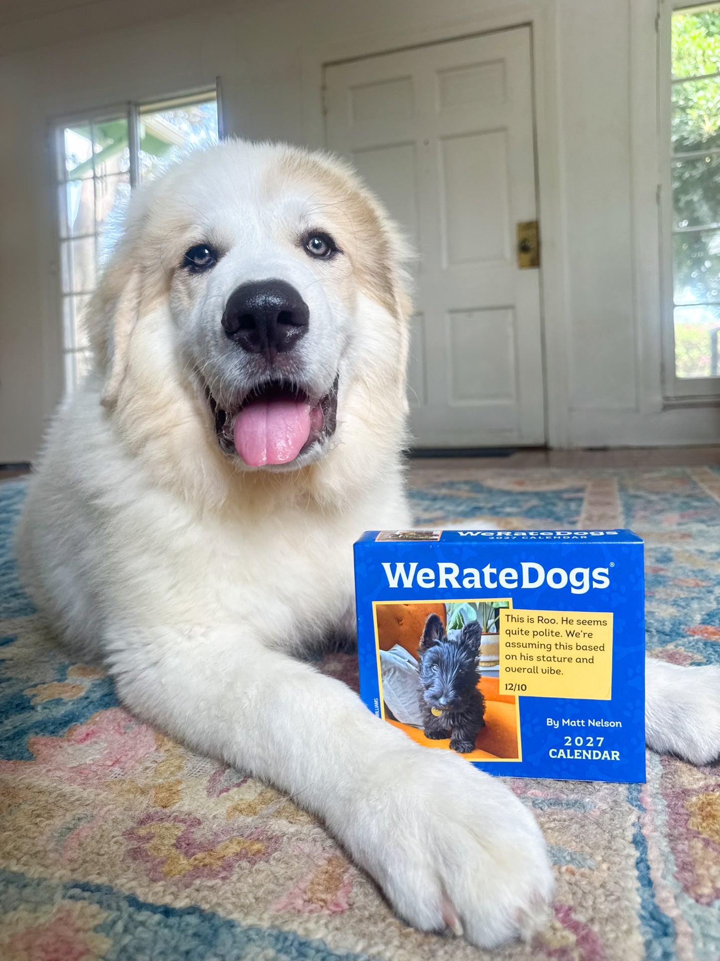 2027 WeRateDogs Day-to-Day Calendar