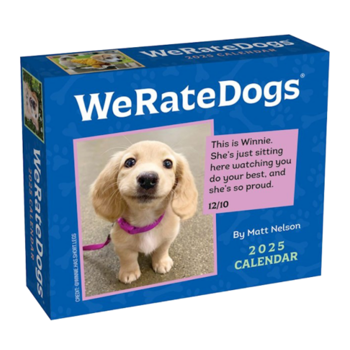 2025 WeRateDogs DaytoDay Calendar
