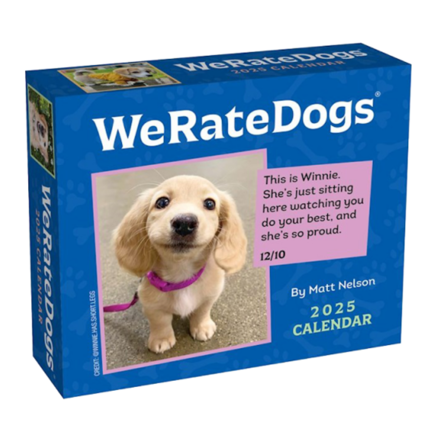 2025 WeRateDogs Day-to-Day Calendar