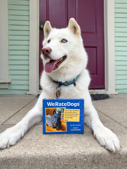2027 WeRateDogs Day-to-Day Calendar