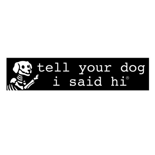 Skeleton Dog Magnet