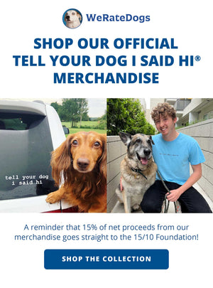 Shop our official Tell Your Dog I Said Hi Merchandise