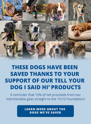 These dogs have been saved thanks to your support of our tell your dogs I said hi products
