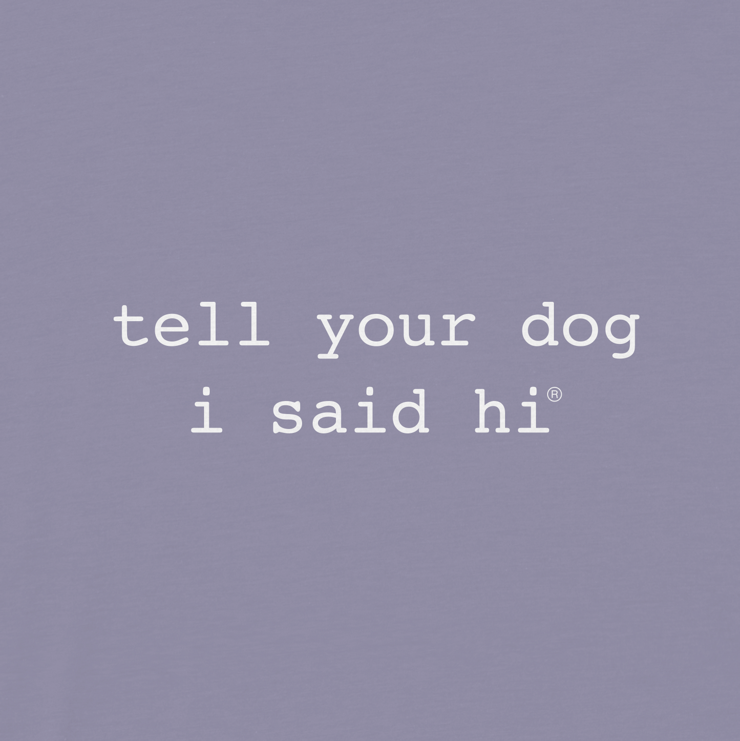 Classic Womens V-Neck Tee - Lilac