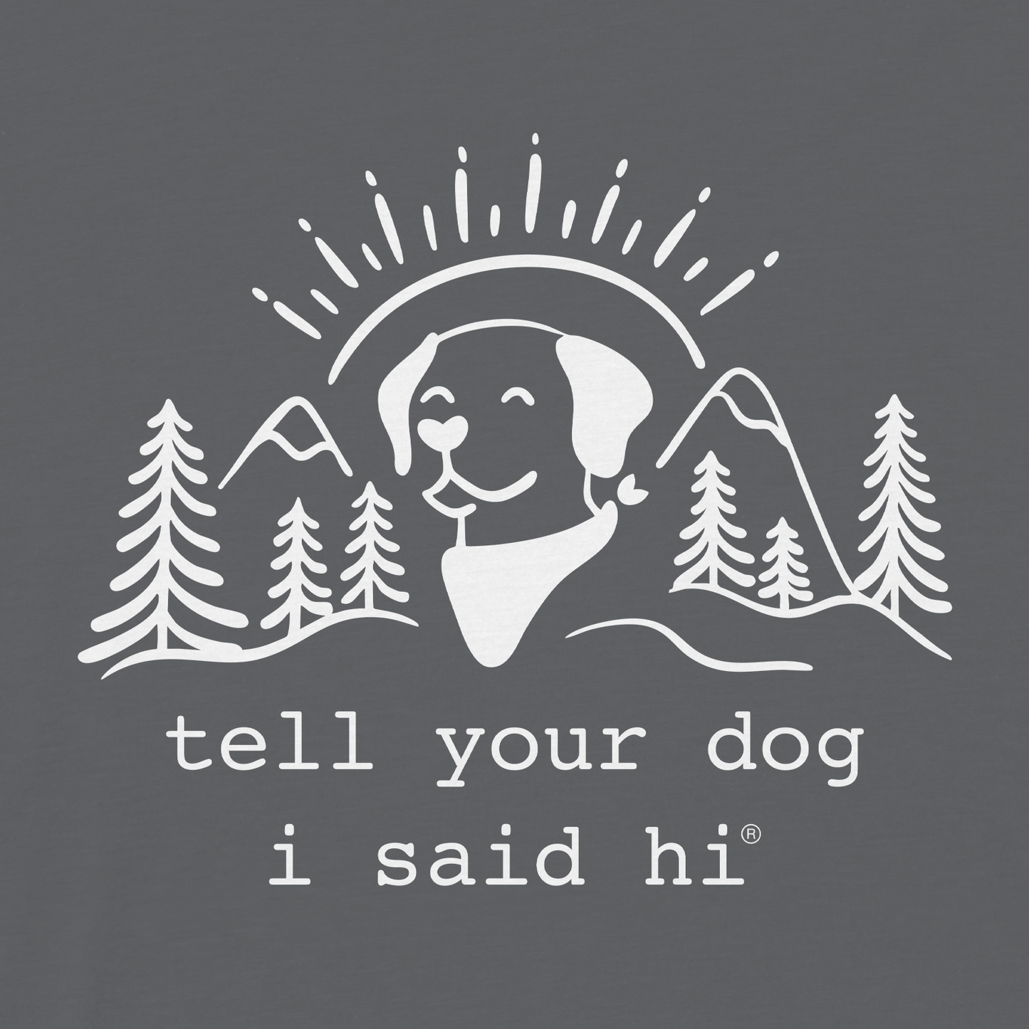 Summit Pup Zip Hoodie - Slate