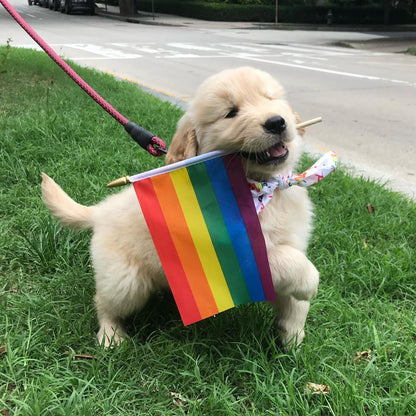 Pride Puppy Tee - White