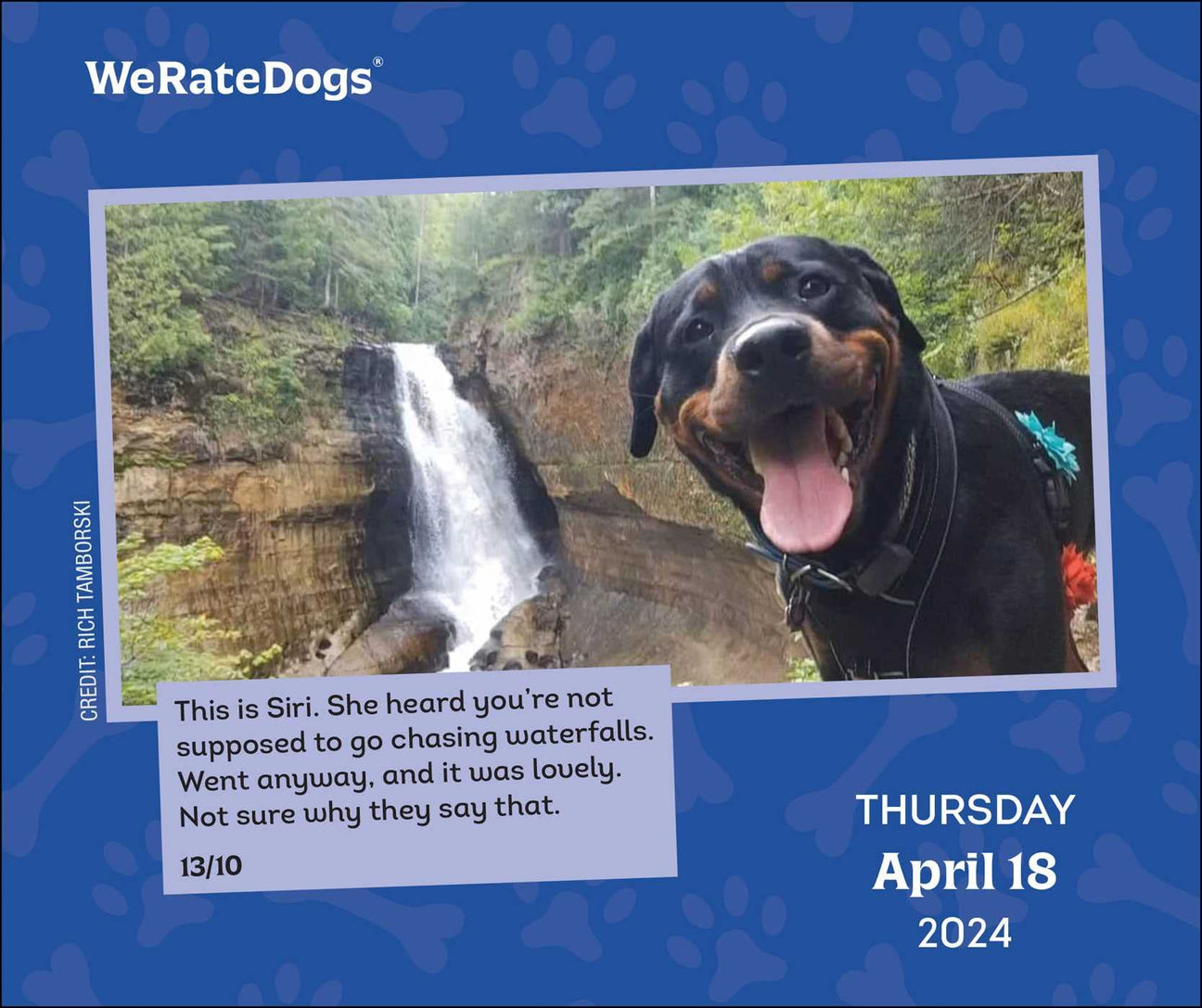 2024 Calendar – WeRateDogs 2024 Calendar – WeRateDogs