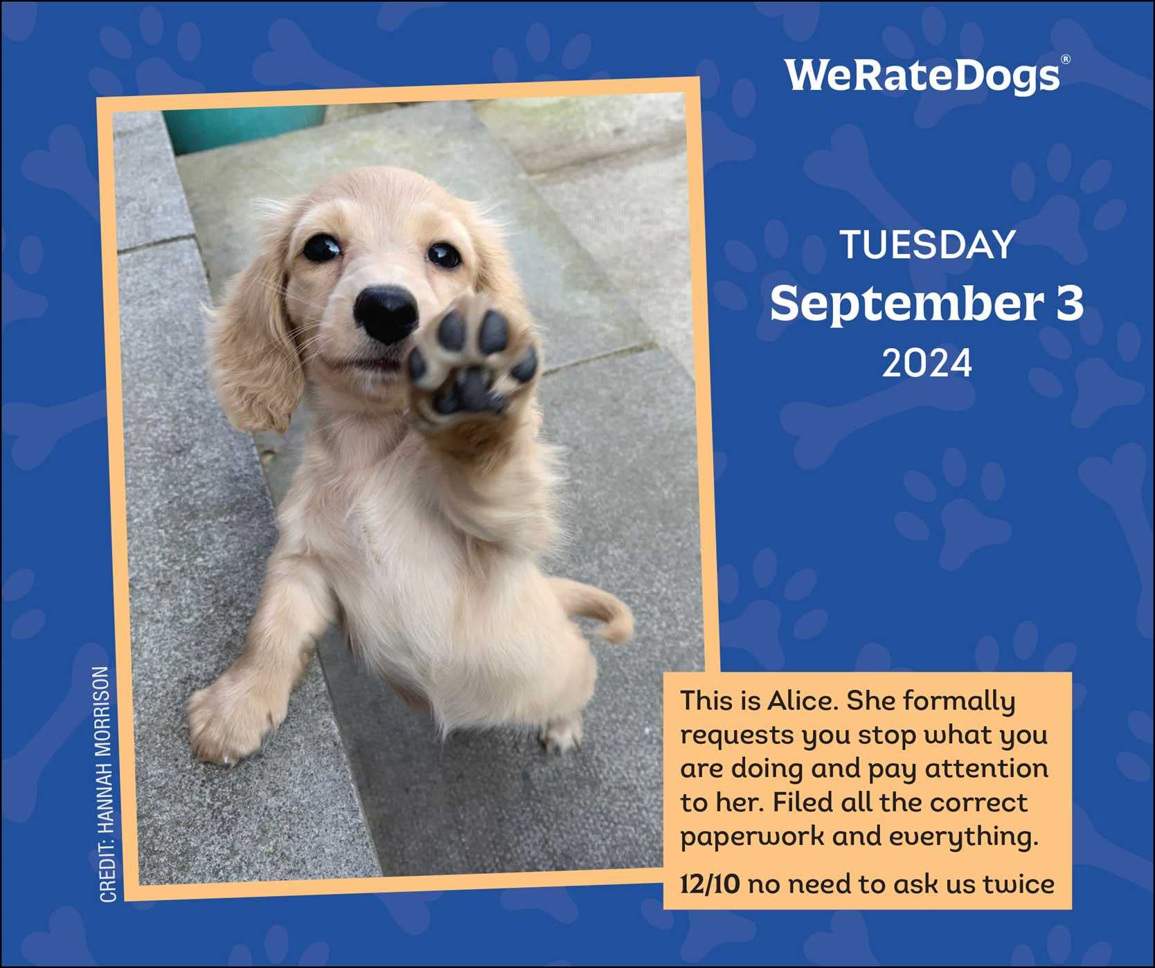 2024 Calendar – WeRateDogs 2024 Calendar – WeRateDogs