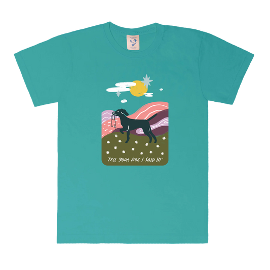 Daydream Walk Tee - Spring Teal