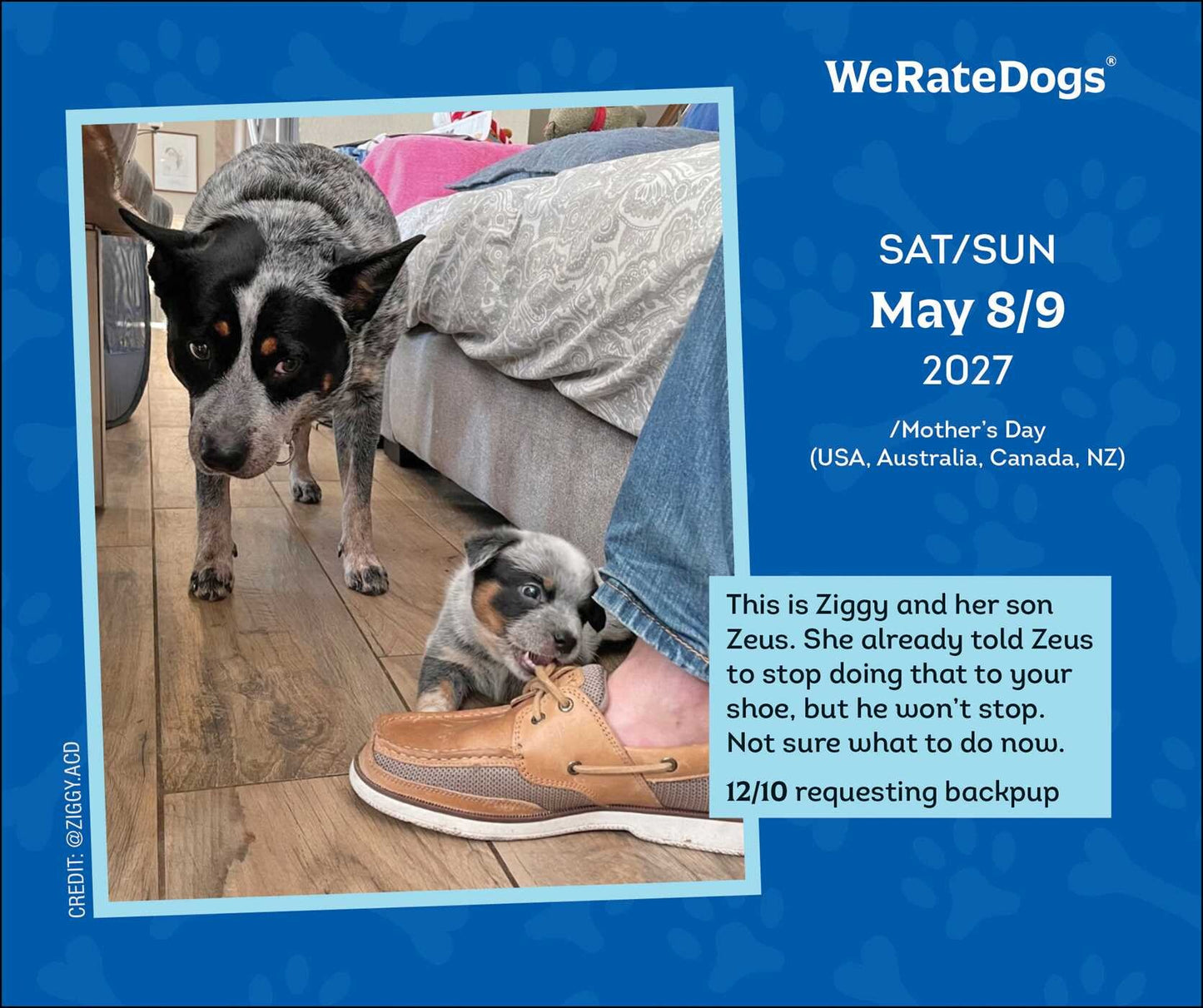 2027 WeRateDogs Day-to-Day Calendar