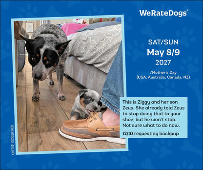 2027 WeRateDogs Day-to-Day Calendar