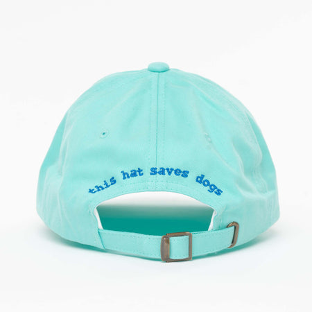 Diamond Blue Hat - lowercase