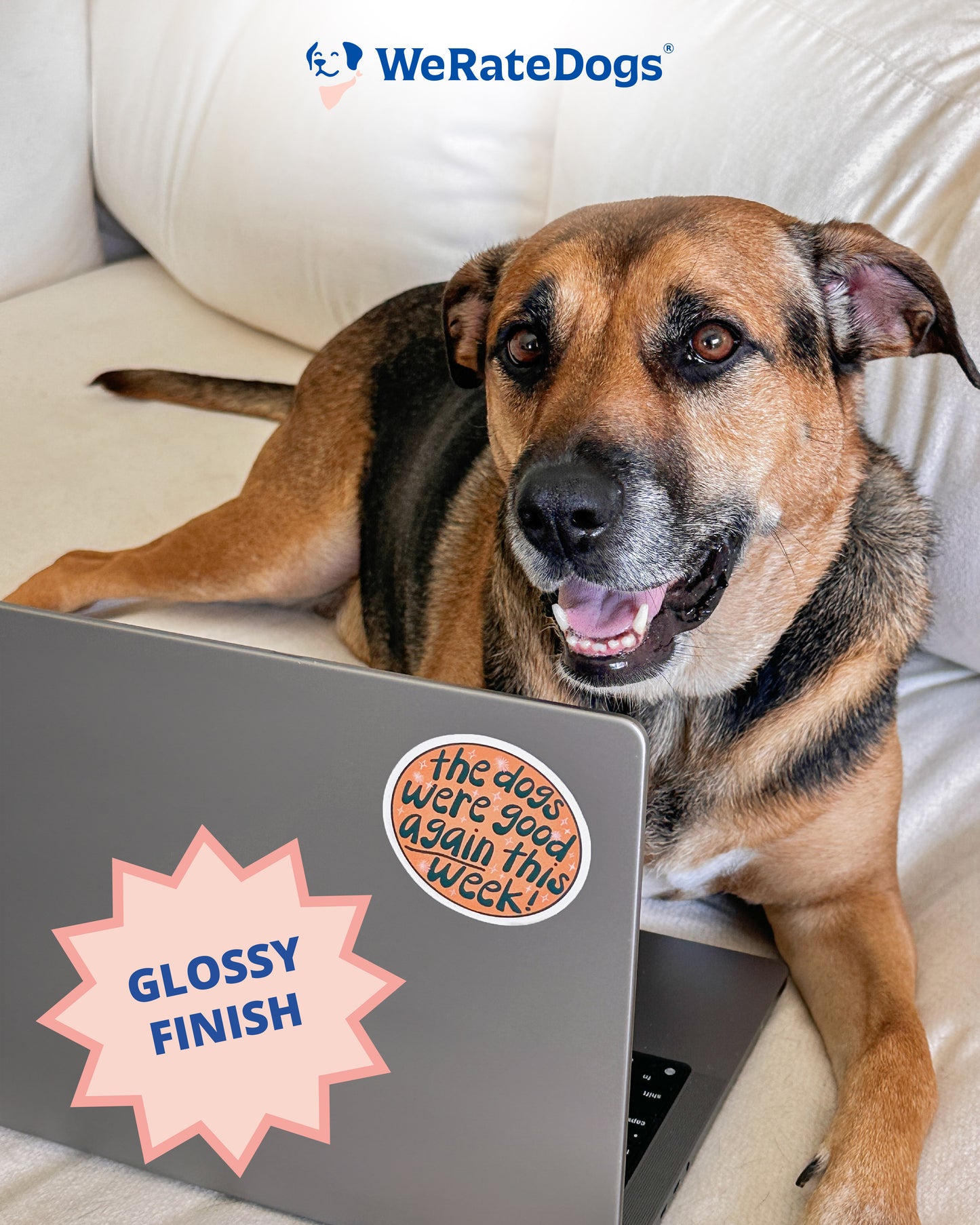 The Dogs Were Good Again This Week Circular Sticker - Orange