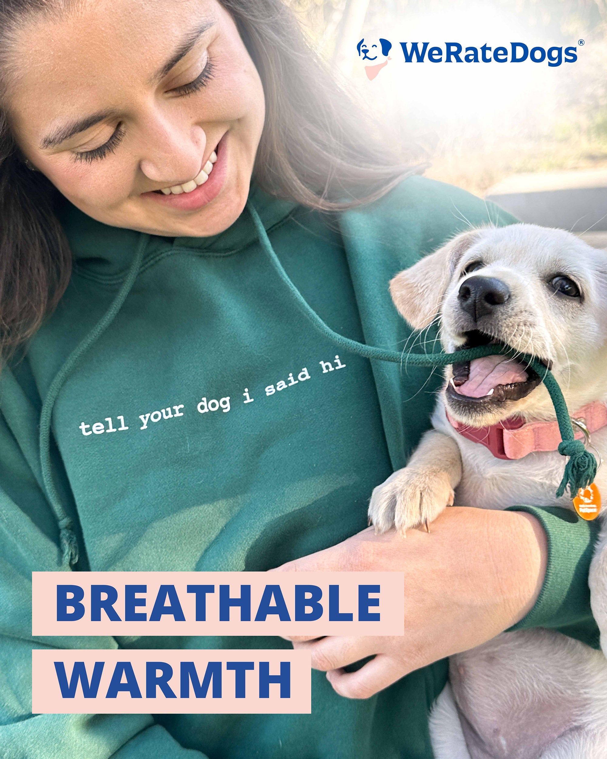 Classic Hoodie - Alpine Green – WeRateDogs