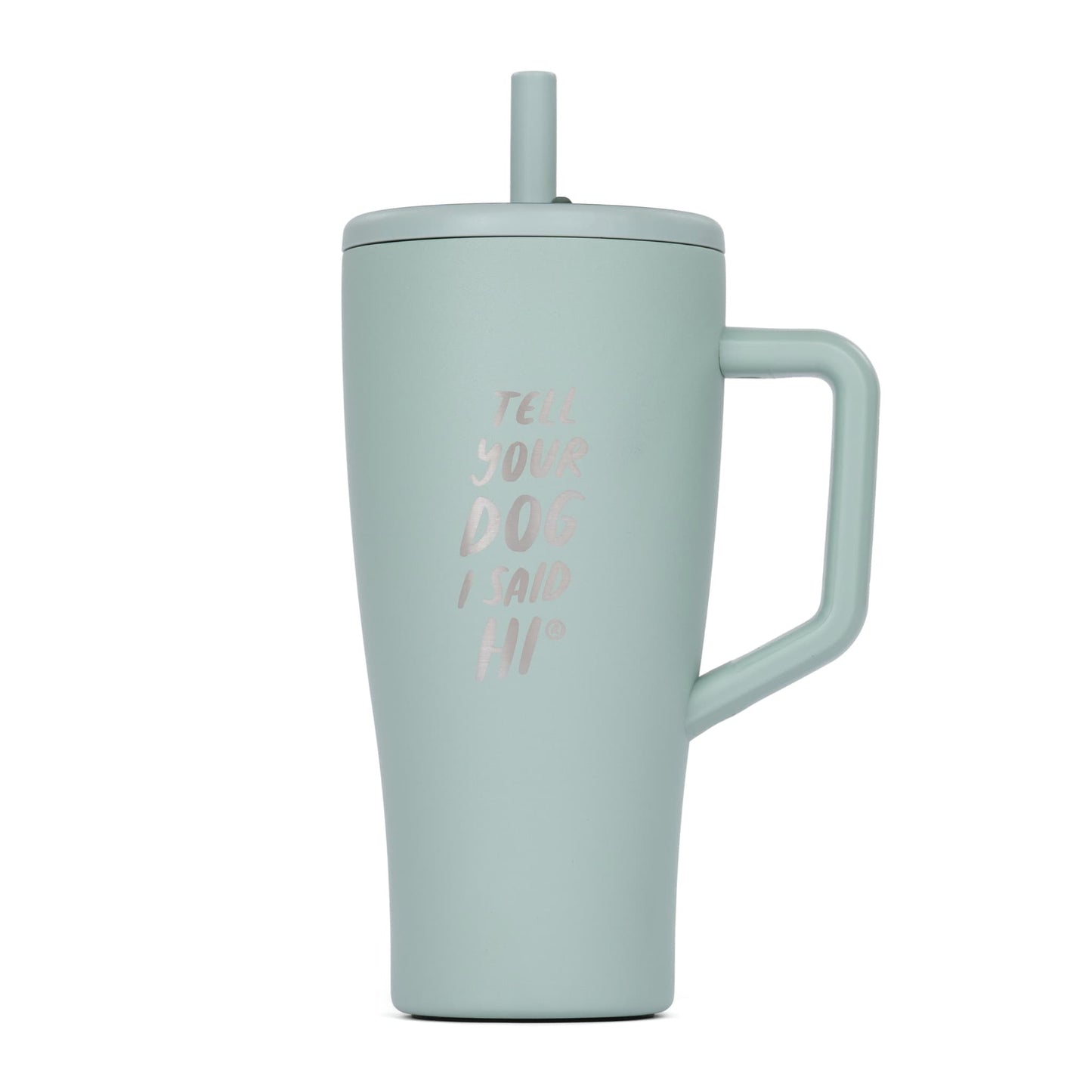 TYDISH Era Tumbler - 30 oz - Sage
