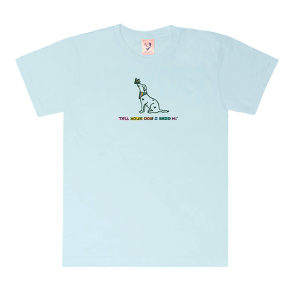 Rainbow and Butterflies Tee - Spun Sugar