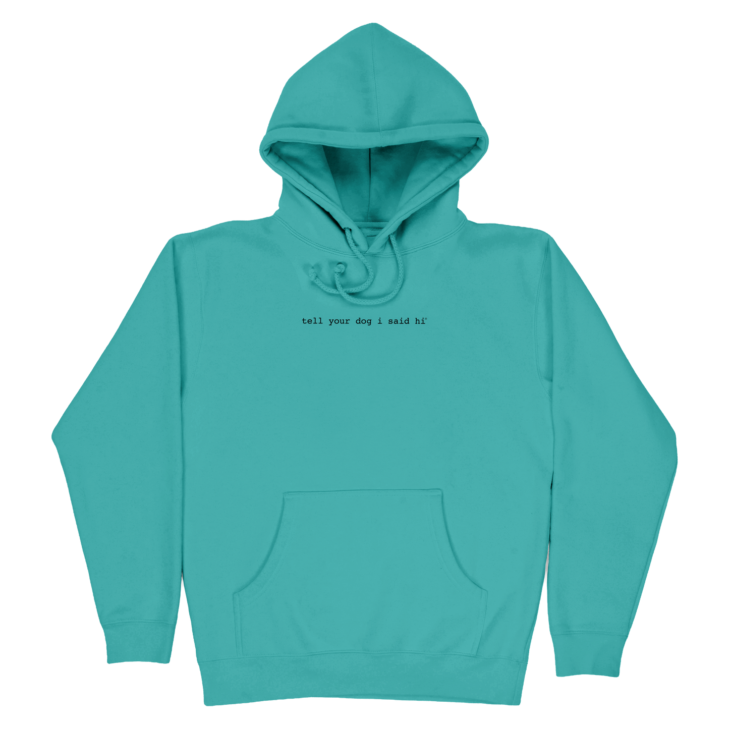 Classic Hoodie - Spring Teal