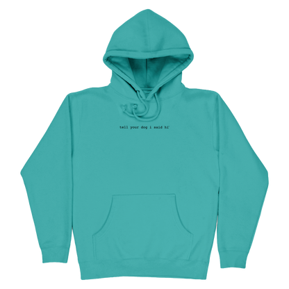 Classic Hoodie - Spring Teal