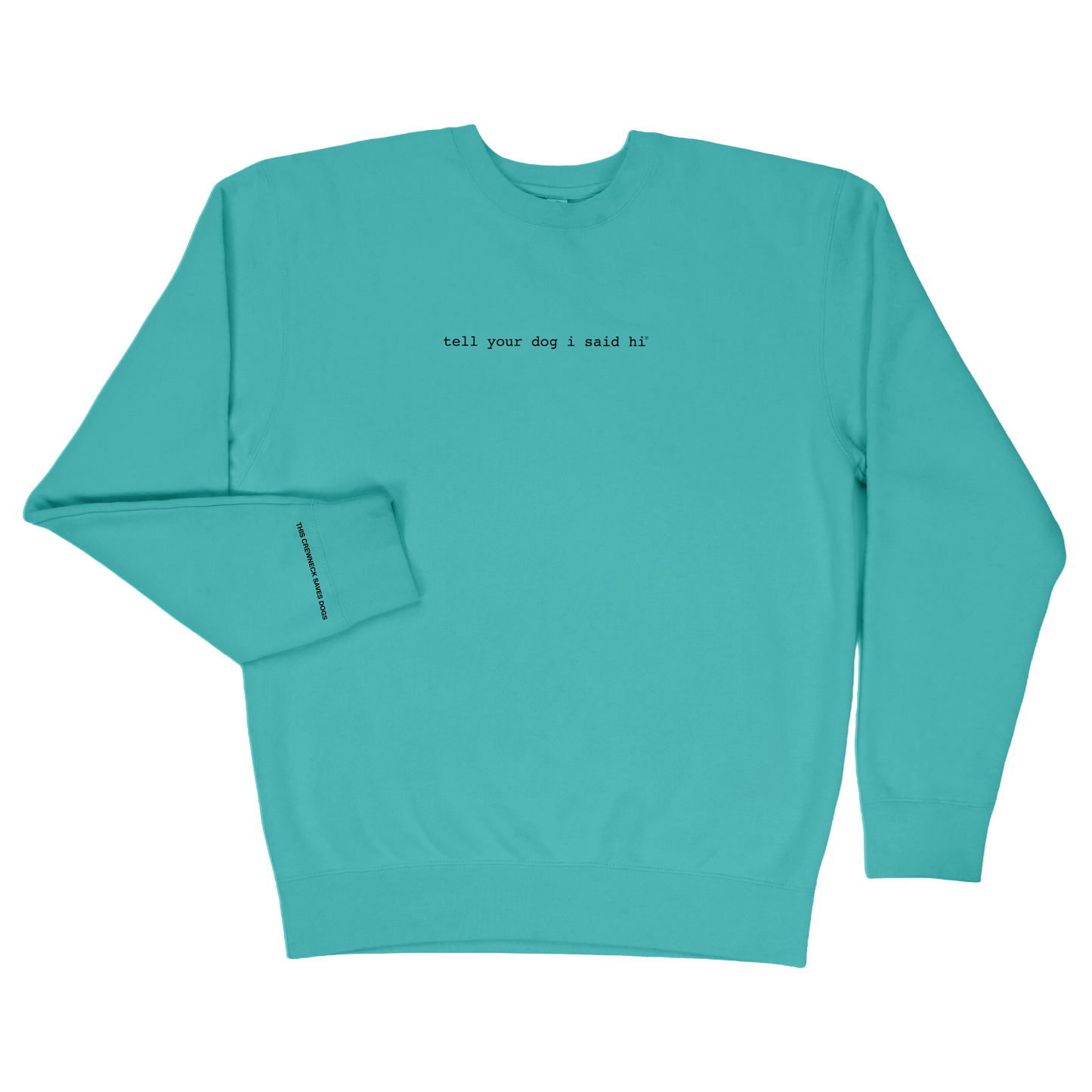 Classic Crewneck - Spring Teal