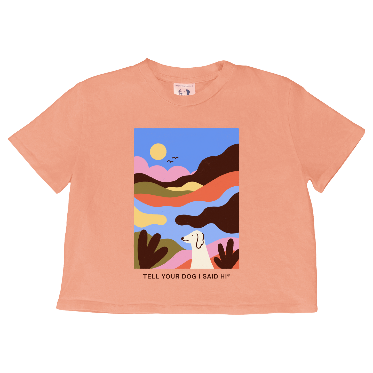 Magic Vista Crop Top - Melon