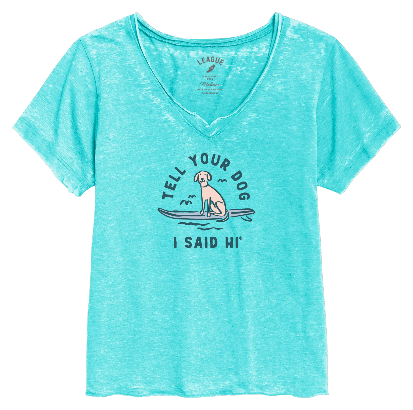 Board Dog Burnout V-Neck - Heather Tahiti