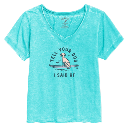 Board Dog Burnout V-Neck - Heather Tahiti