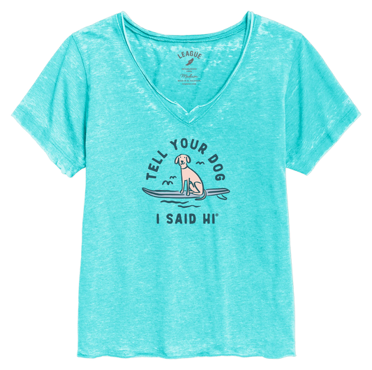 Board Dog Burnout V-Neck - Heather Tahiti
