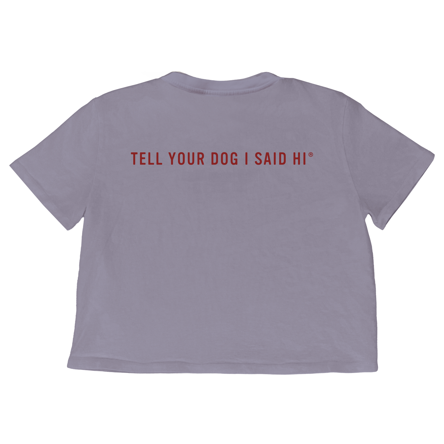 Dog Lover Badge Crop Top Tee - Lilac