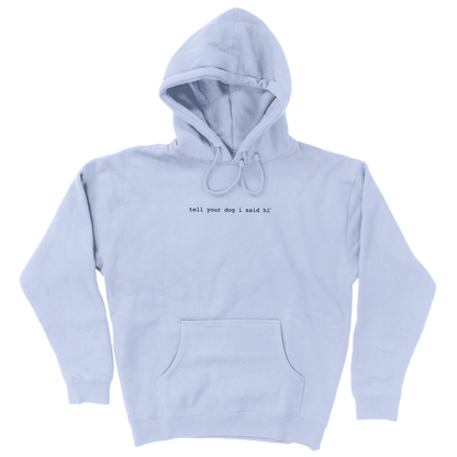 Classic Hoodie - Snowy Blue