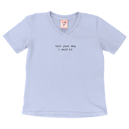 Classic Womens V-Neck Tee - Snowy Blue