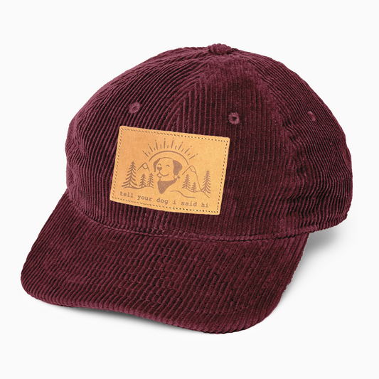 Summit Pup Wale Corduroy Hat - Maroon