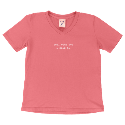 Classic V-neck Women's Tee - Pink