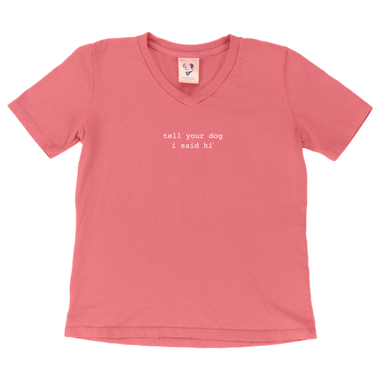 Classic V-neck Women's Tee - Pink