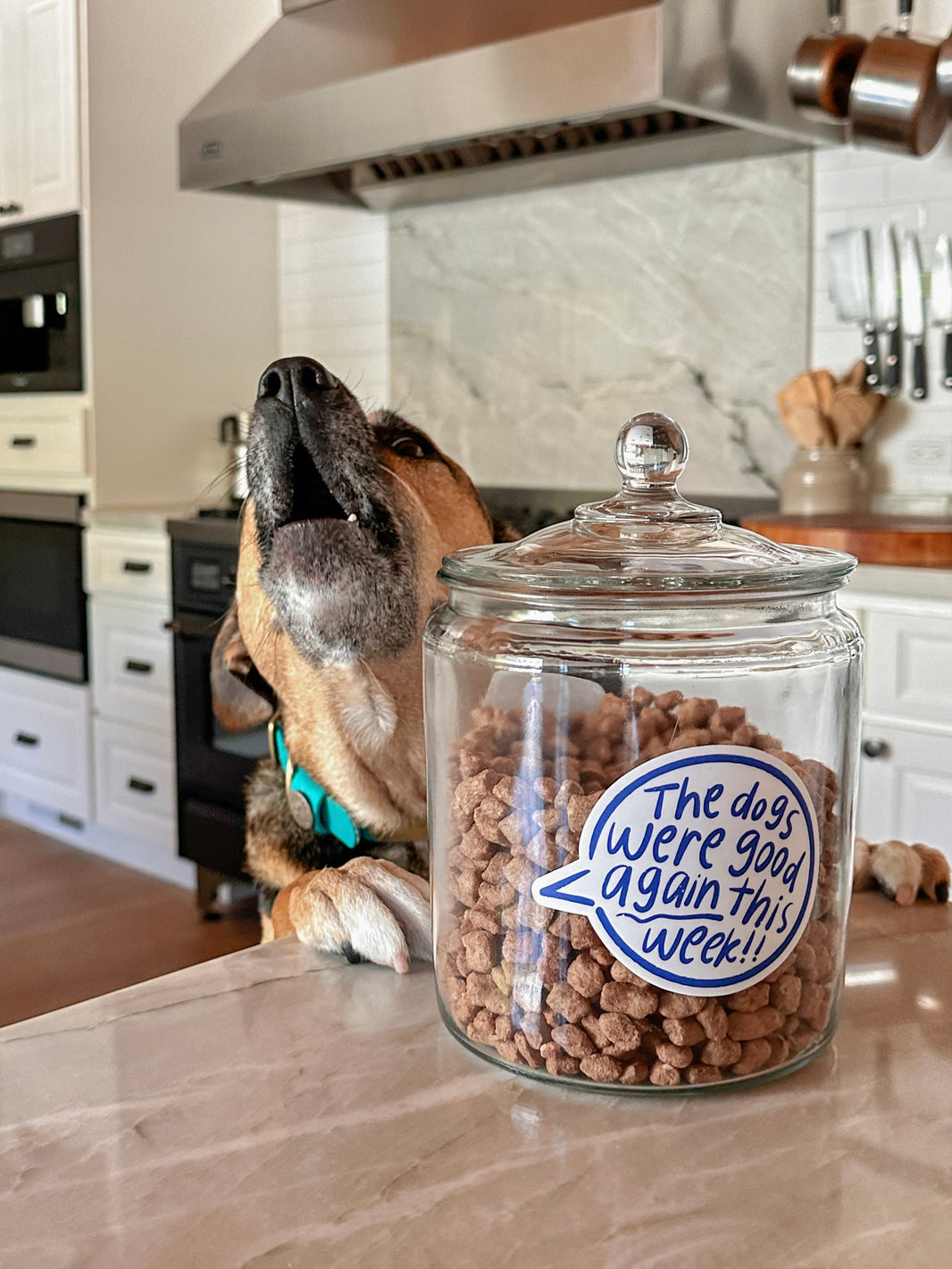 Stickers – WeRateDogs