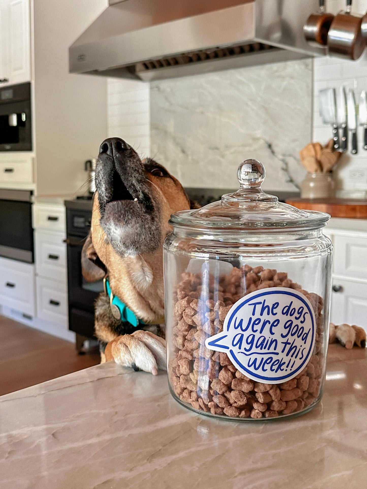 The Dogs Were Good Again This Week Talk Bubble Sticker