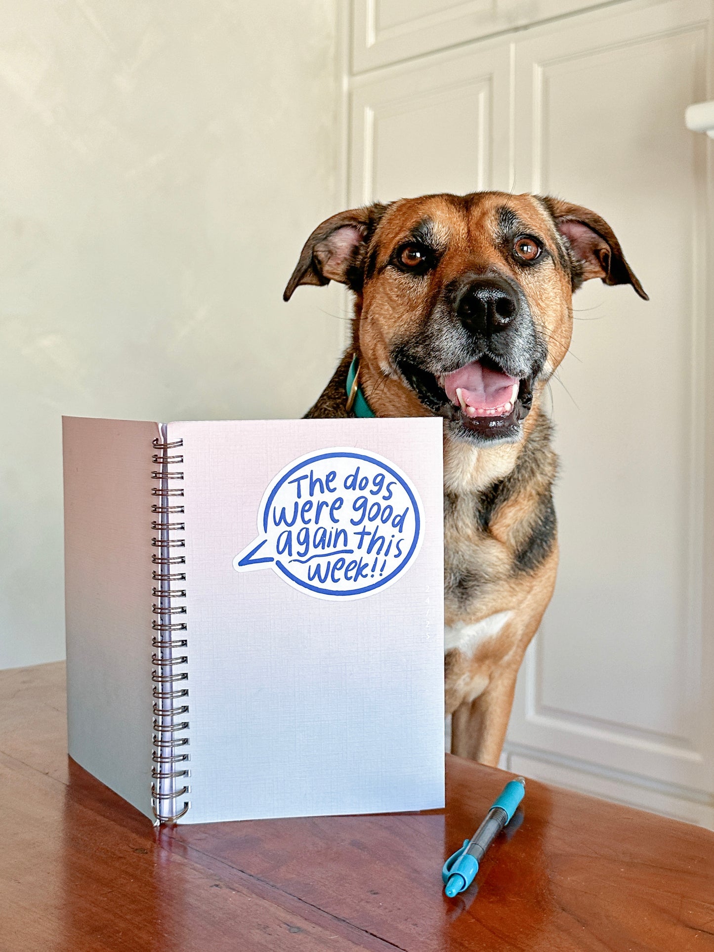 The Dogs Were Good Again This Week Talk Bubble Sticker